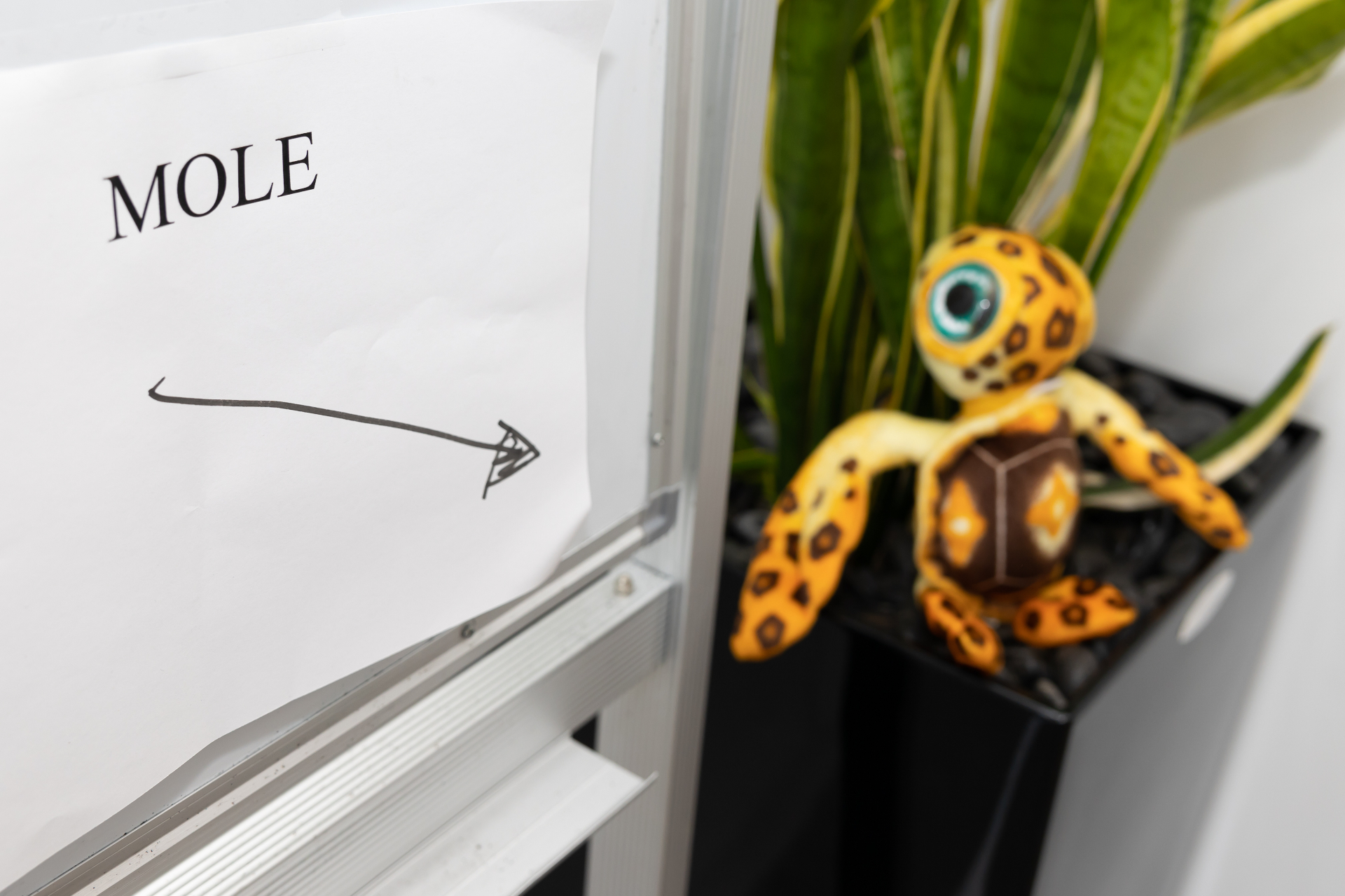 A sign reading MOLE with an arrow pointing to a plush turtle